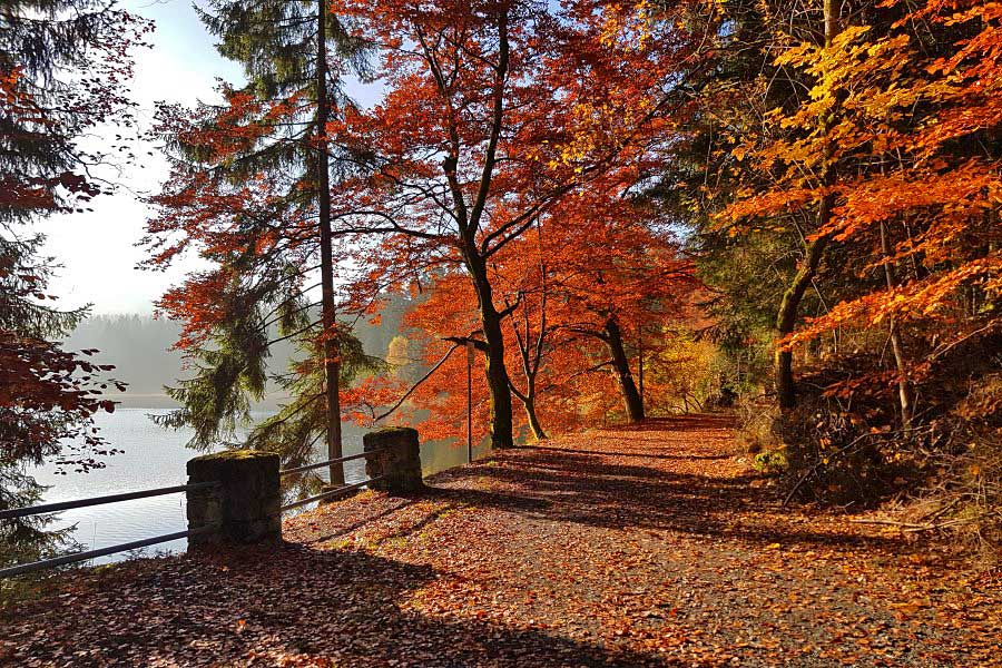 Fotoimpression Steinersmühle Neumannsgrund 