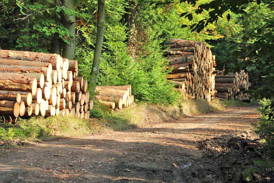 Fotoimpression Steinersmühle Neumannsgrund 