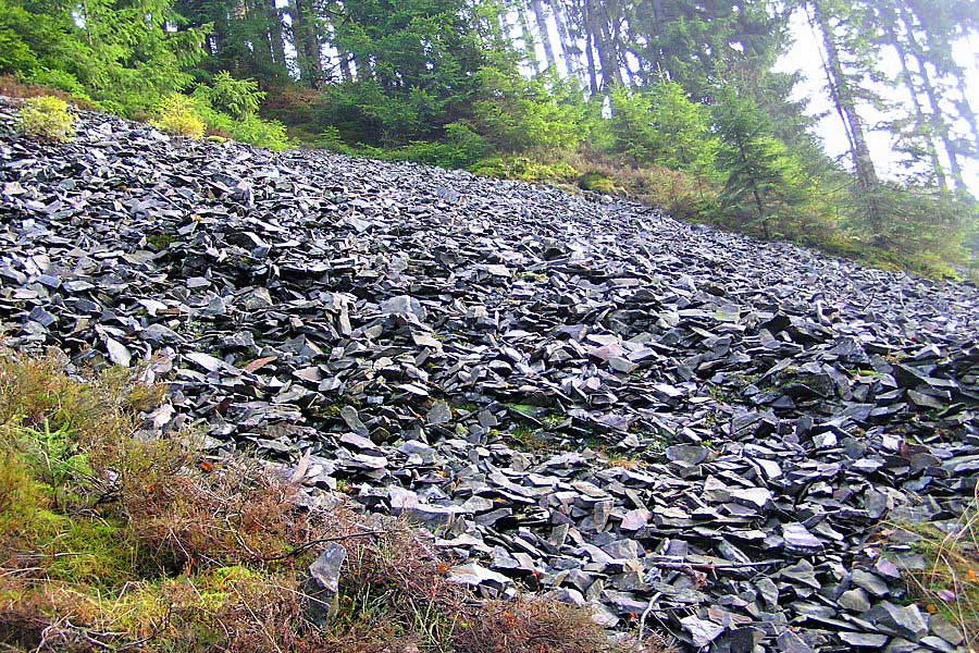Fotoimpression Steinersmühle Neumannsgrund 